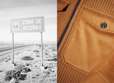 Vicuña wool Collection: luxury clothing and accessories | Zegna US