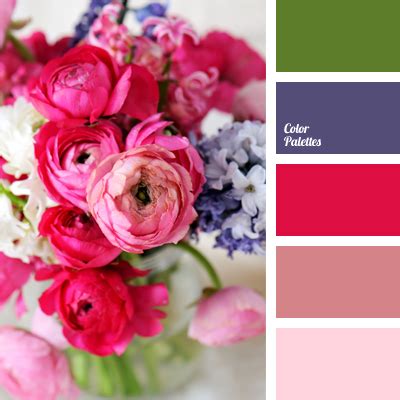 fuchsia color | Color Palette Ideas