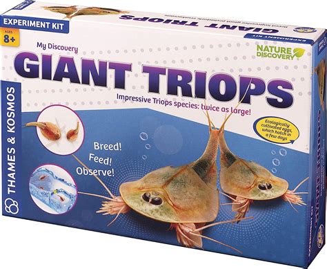 Thames & Kosmos 510869 Giant Triops Nature Discovery Range Help Prehistoric Crustaceans Grow and ...