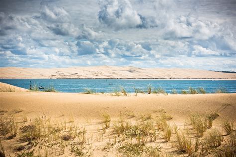 The importance of sand dunes to the coastline