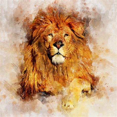 Cute Lion And Ornaments. Softly Blurred Watercolor Background. Stock 10E