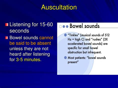 Usmle practice test auscultation vsd basketball - communicationsright