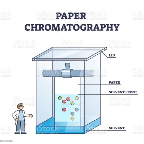 Paper Chromatography Method To Separate Colored Chemicals Outline Diagram Stock Illustration ...