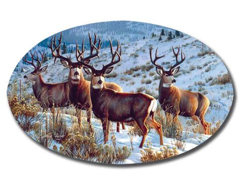 Safeart Magnet Boys Club Deer Buck 5x8 Gun Safe For Sale at GunAuction ...