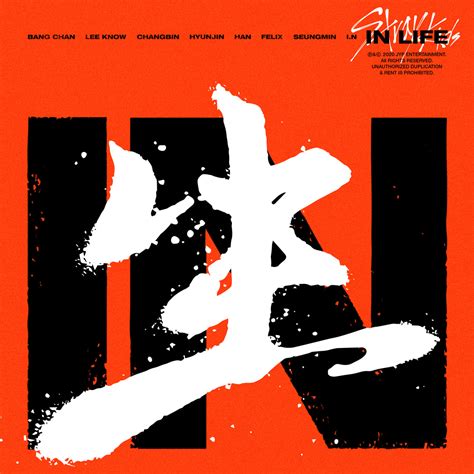 STRAY KIDS 1ST ALBUM REPACKAGE - IN生 IN LIFE (STANDARD VERSION) – SubK Shop