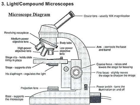 Compound Microscope Drawing Parts And Functions Micropedia | Images and ...