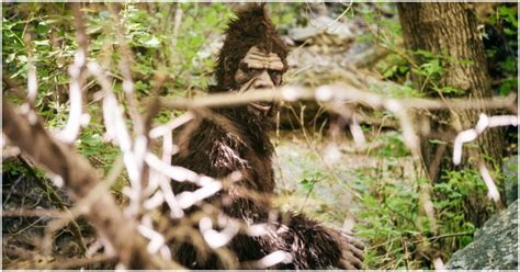 Rock Apes: The Cryptids That Supposedly Once Plagued GI's | War History ...