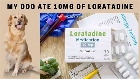 My Dog Ate 10mg Of Loratadine : 7 Interesting Dosage Facts - We Are The Pet