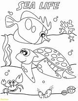 Awesome Coloring Pages To Print At GetColoringscom  Free Printable sketch template