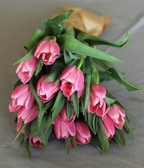 tulips, bouquet, flowers, plant, decoration, beauty, spring, plants ...