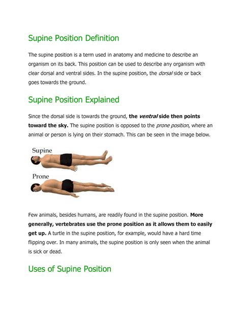 Supine Position Definition - This position can be used to describe any ...