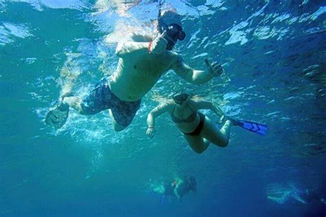 Los Cabos Snorkeling Tour by Speed Boat with Photos Included