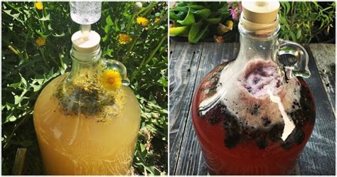 15 Easy Mead Recipes for Beginners