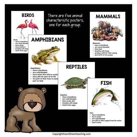 Animal Classification Unit with Mammals, Birds, Fish, Reptiles, and Am ...