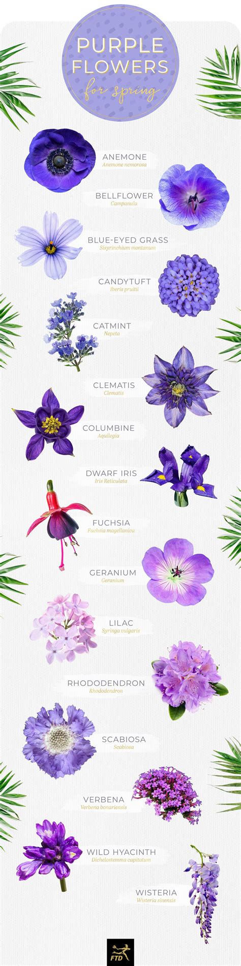 50 types of purple flowers – Artofit