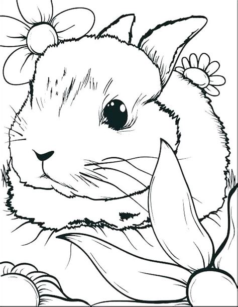 Cute Bunny Coloring Pages at GetColorings.com | Free printable colorings pages to print and color