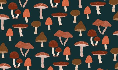 many different types of mushrooms on a black background with brown and ...