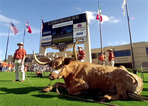 Texas Longhorns beloved mascot Bevo: See photos through the years