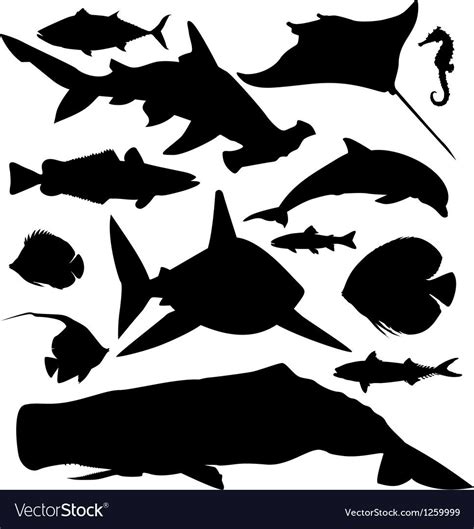 「silhouette ocean」の画像検索結果 | Shark silhouette, Fish silhouette, Fish vector