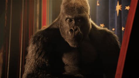 The One and Only Ivan Film Review: An Exhausting CGI Gorilla Movie | Observer