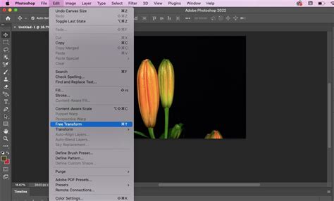 How to Make a Blooming Flower Time-Lapse: A Beginner's Guide