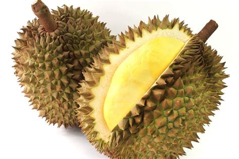 Panic as pungent durian smell is mistaken for gas leak in Australian library | South China ...