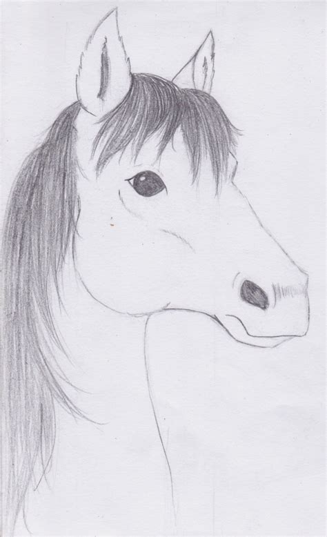 Horse Head Sketch by PonyAdler86 on DeviantArt