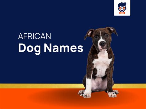 1250+ African Dog Names That Reflect Culture and Tradition