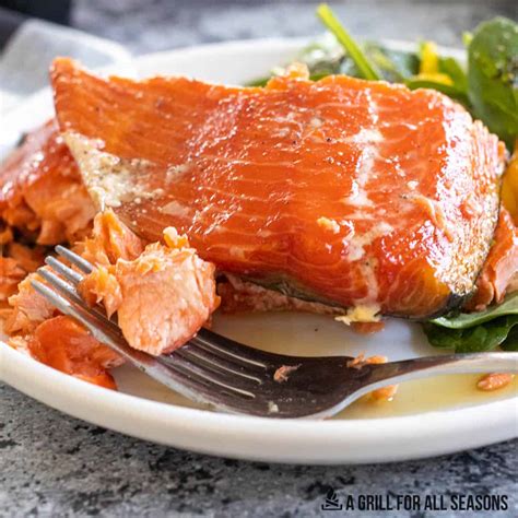 Smoked Salmon Dry Brine Recipe Brown Sugar | Dandk Organizer