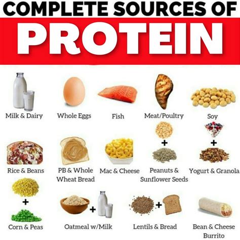 High Protein Foods List, Best Protein, Healthy Protein, High Protein ...