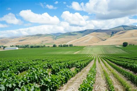 Premium Photo | Rural farmland with crops