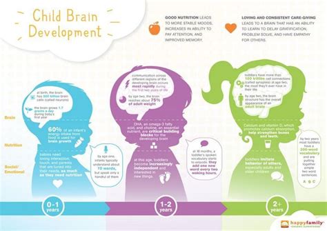Child brain development from babies to toddlers | Brain development ...