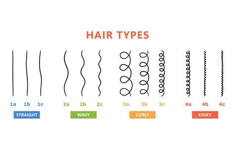 Curly Hair Types Chart | edu.svet.gob.gt