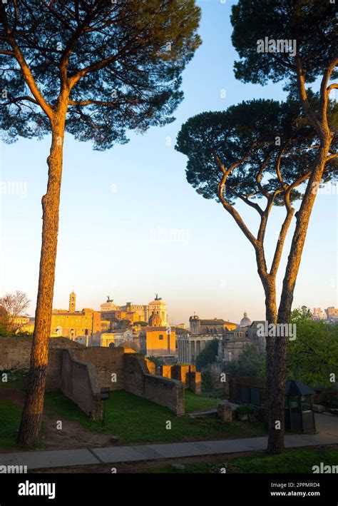 Roman Forum ruins, Rome, Italy. Aerial vertical view of famous tourist ...