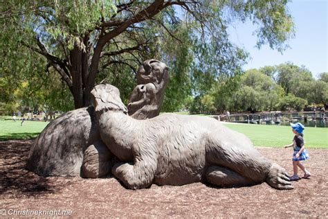 Kings Park & Botanic Garden: The Best of Perth, Western Australia ...