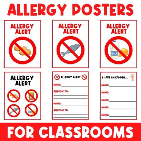 Allergy Alert Classroom Poster Signs Decor Visual - Etsy