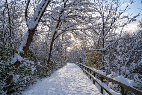 15 Best Things To Do in Winter in Michigan - Midwest Explored