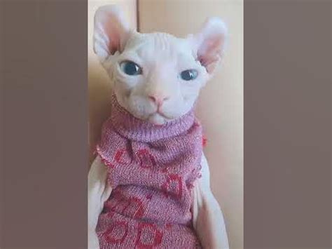 Baby bingus dances in a cute sweater - YouTube