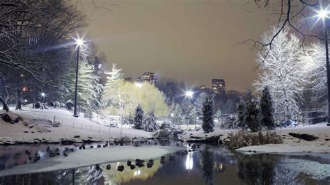 City Park Trees Winter Wallpaper - Download to your mobile from PHONEKY