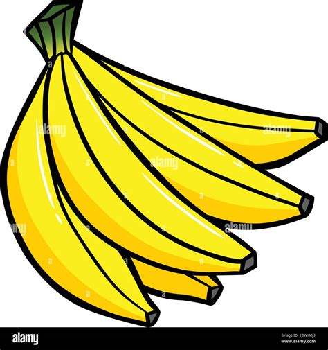 Banana Bunch - A cartoon illustration of a Banana Bunch Stock Vector ...