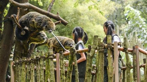 Kebun Binatang Bandung, Tempat Wisata Alam Edukasi Flora dan Fauna