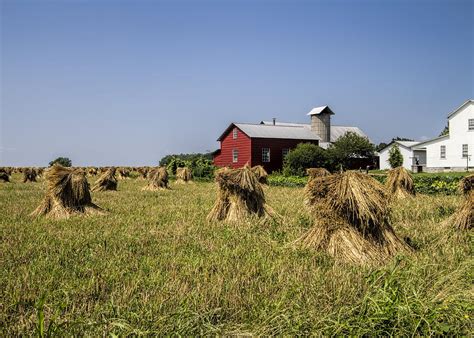 Farming Amish Style Photograph by Kathy Clark - Fine Art America