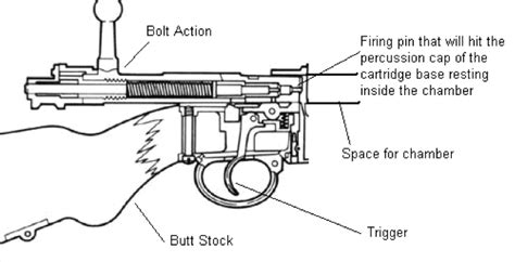 All About Forensic & Investigative Sciences: Forensic Ballistics- Firearms and Its Parts (What ...