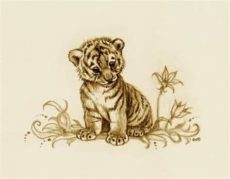 Baby Tiger Drawing at GetDrawings | Free download