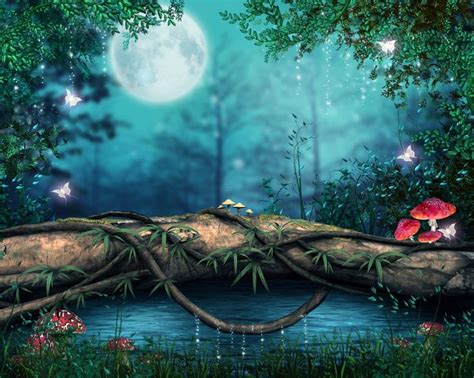 Hermosa noche en un bosque encantado 3D | Fondos bosque, Fondos de ...