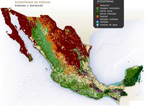 Ecosistemas de México: Cuáles son, tipos, vegetación, fauna y ejemplos