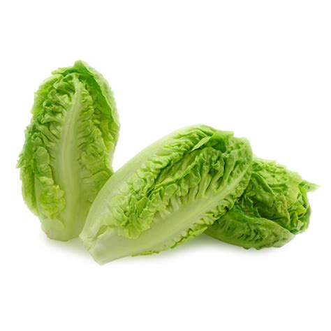 Baby Romaine - 500gr - Vivre Gourmet