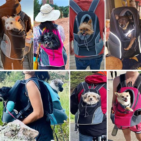 7 Dog Carrier Backpacks: The Best Way to Bring Your Pup Along for the Ride!