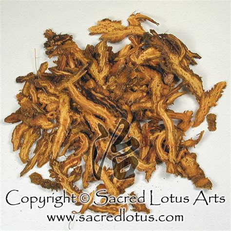 Chinese Herb: Huang Lian (Coptis Rhizome), Rhizoma Coptidis