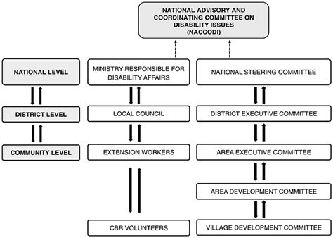 Frontiers | Discourse on Intellectual Disability and Improved Access to Assistive Technologies ...